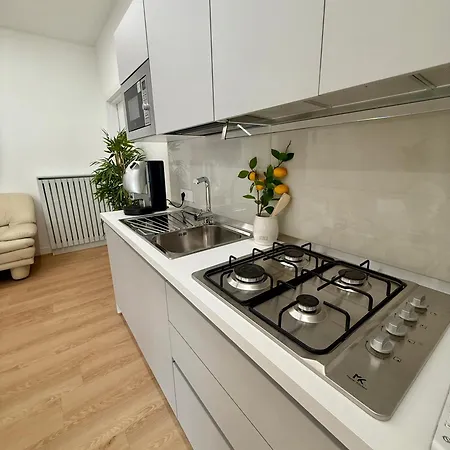 Flute 59 Apartment