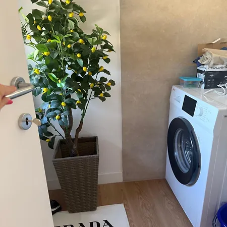 Apartment Flute 59