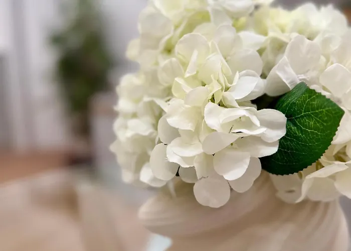 Flute 59 베네벤토